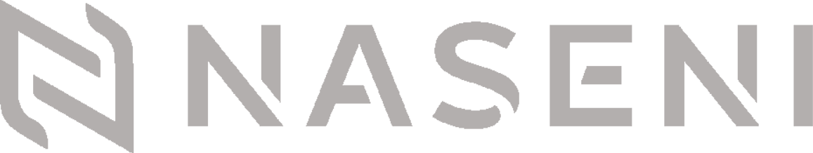 NASENI